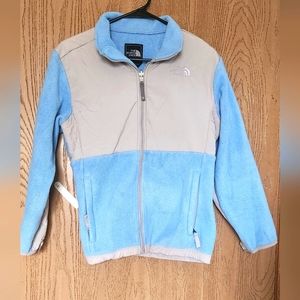 Vintage The North Face - Pull Over Polartec Blue Fleece - Large (L)